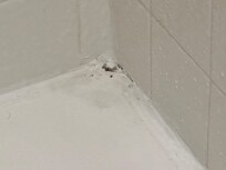 Mold in tub. Also elsewhere in bathroom