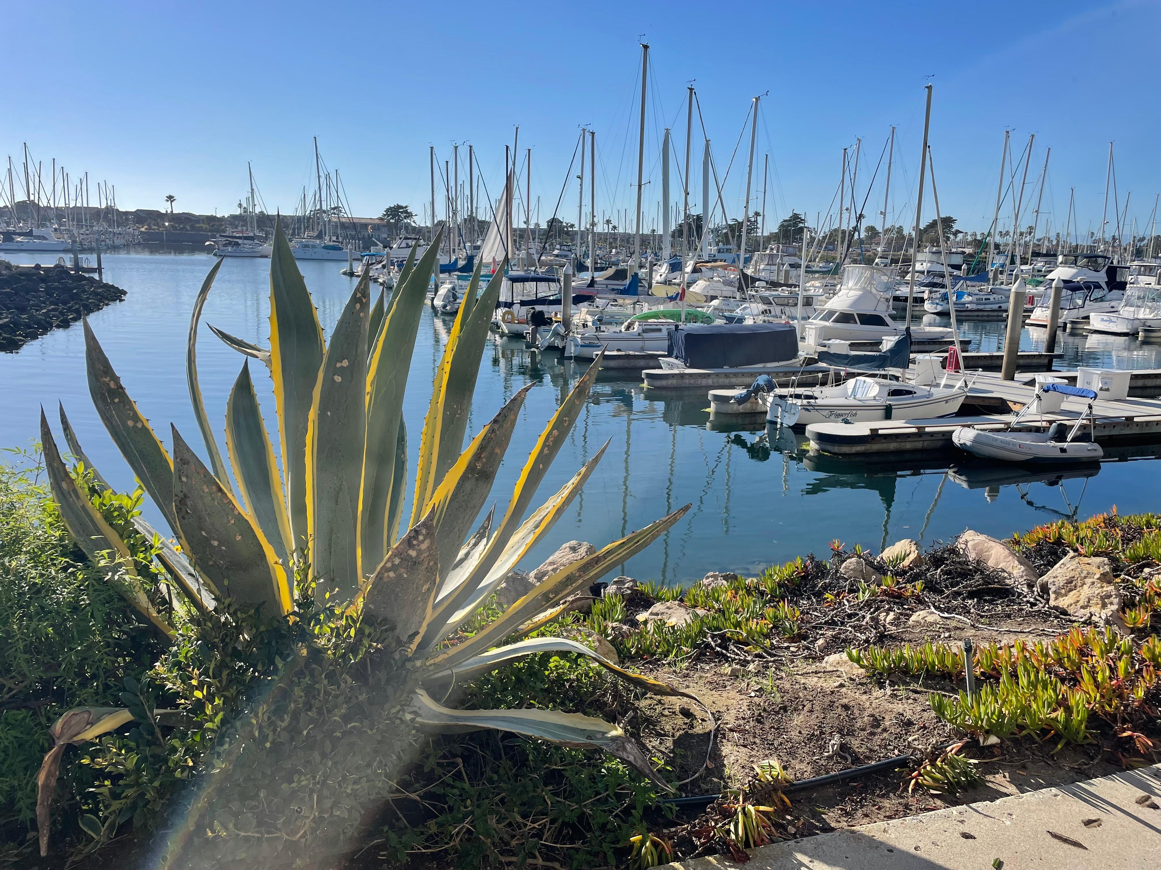 Walking around outside 