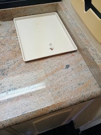 Joint roaches found in the top of the closet.