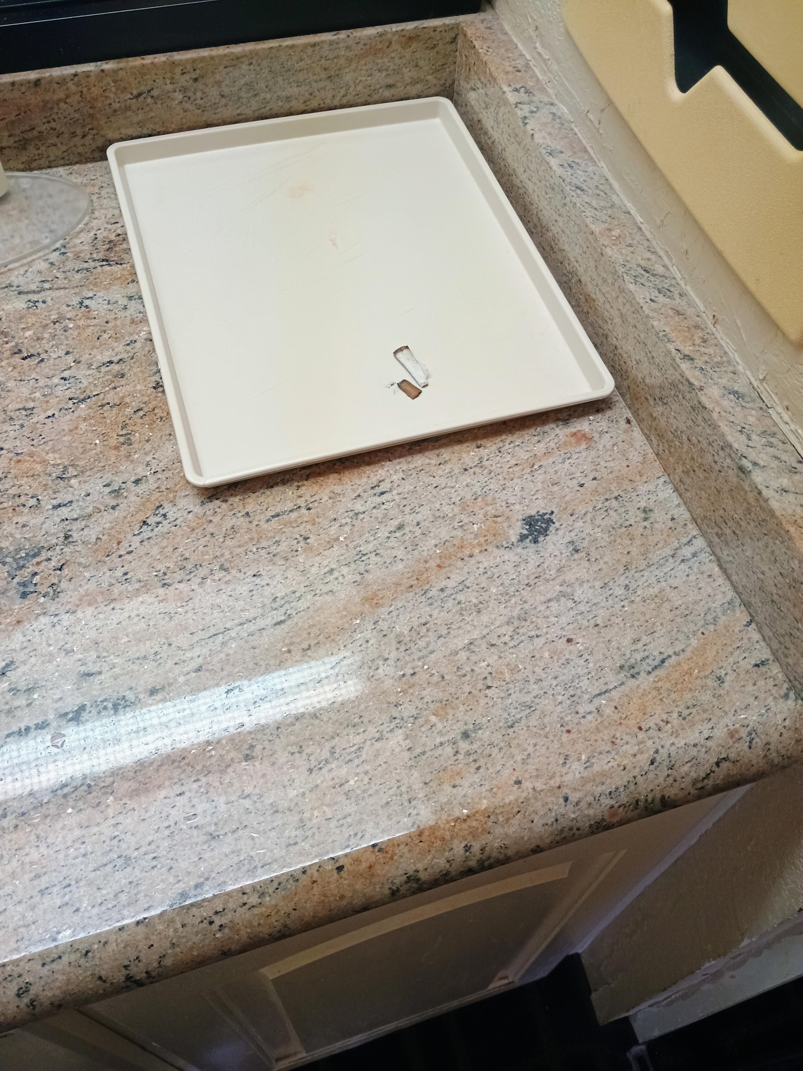 Joint roaches found in the top of the closet. 