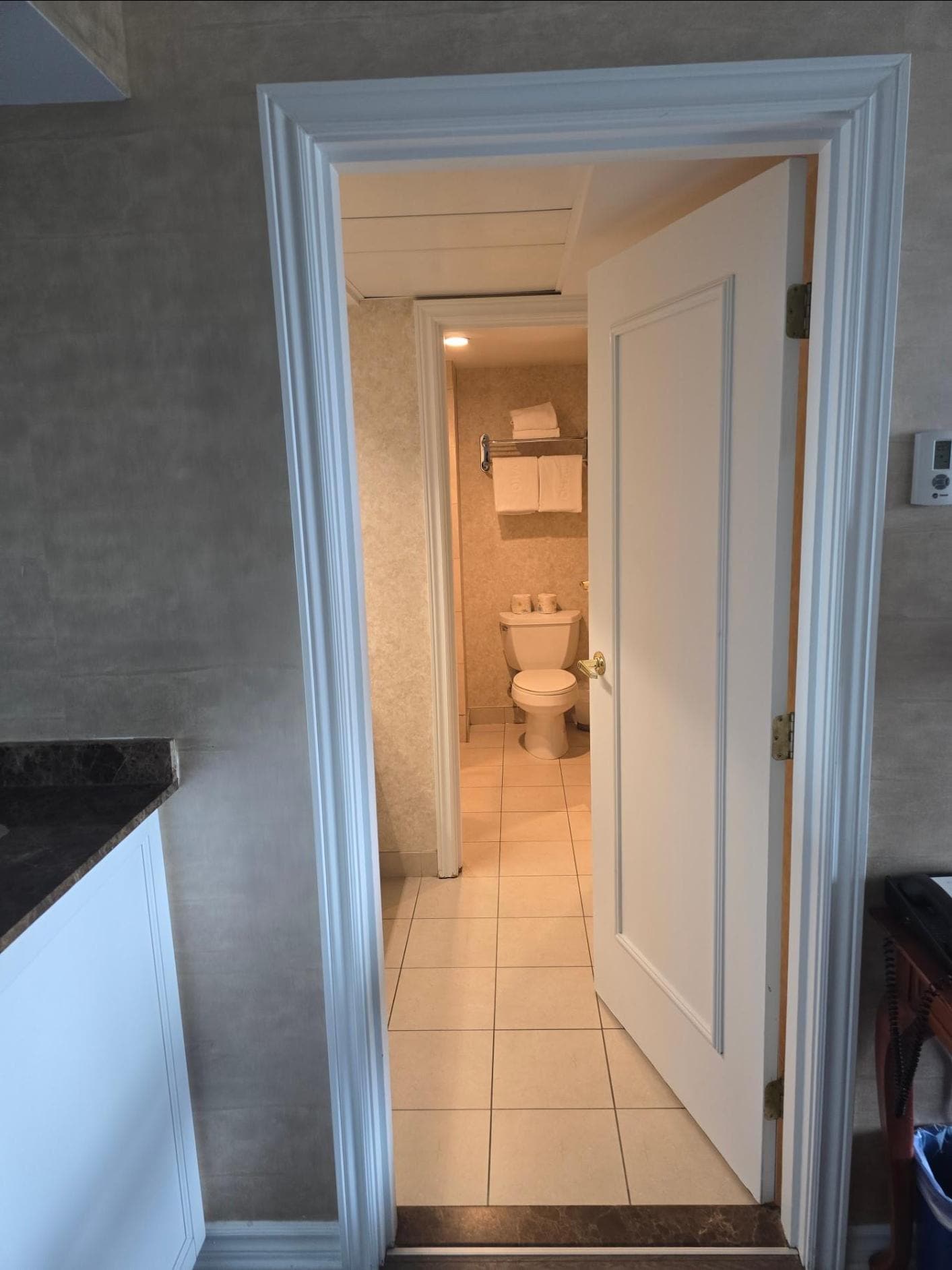 bath/shower/sink area