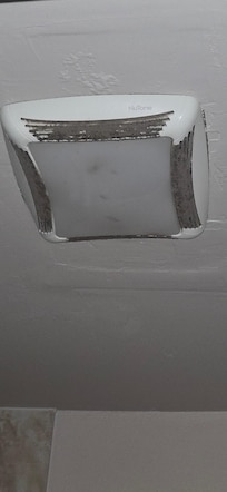 vent with black gunk