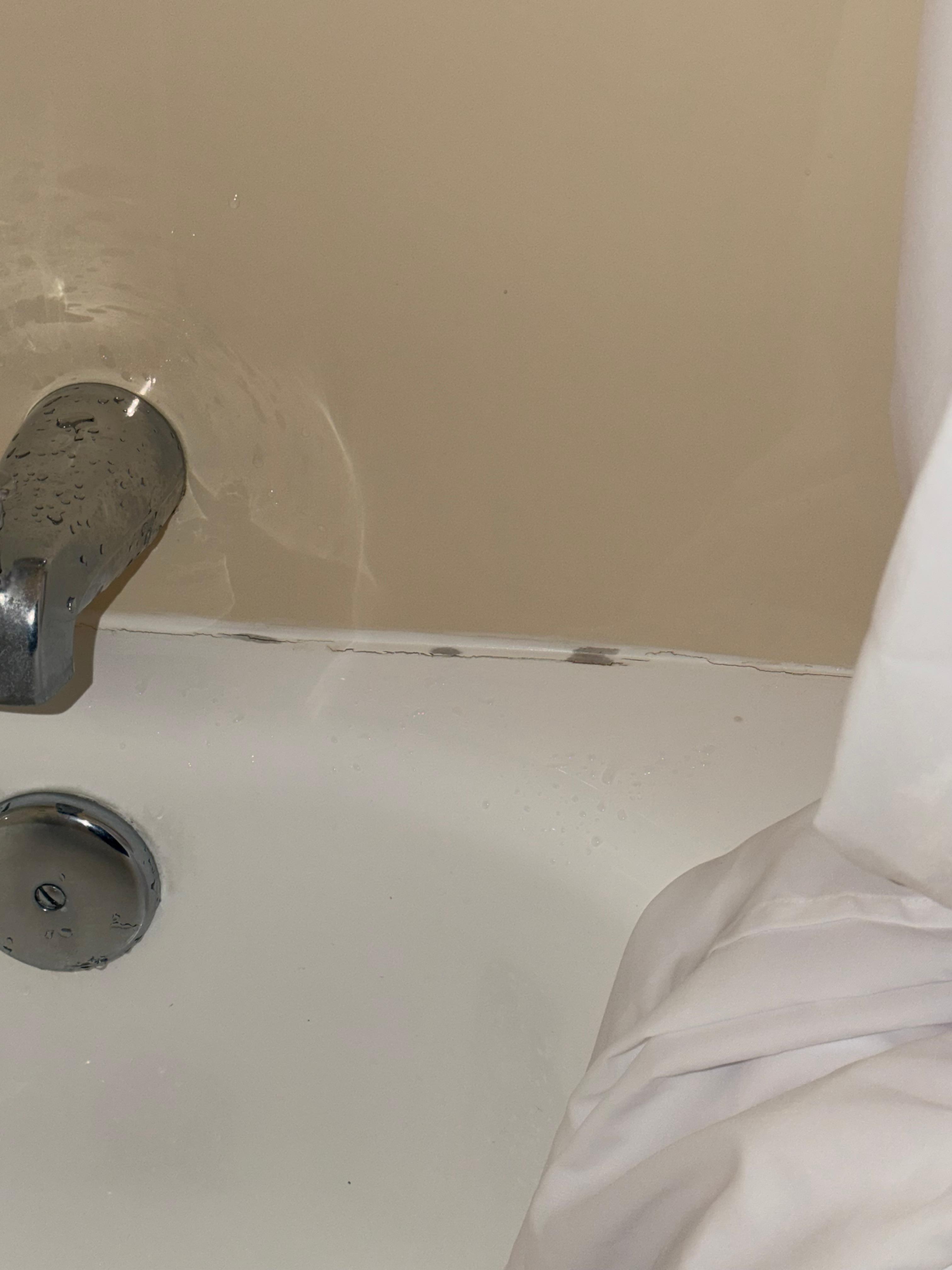 Mold in the shower.