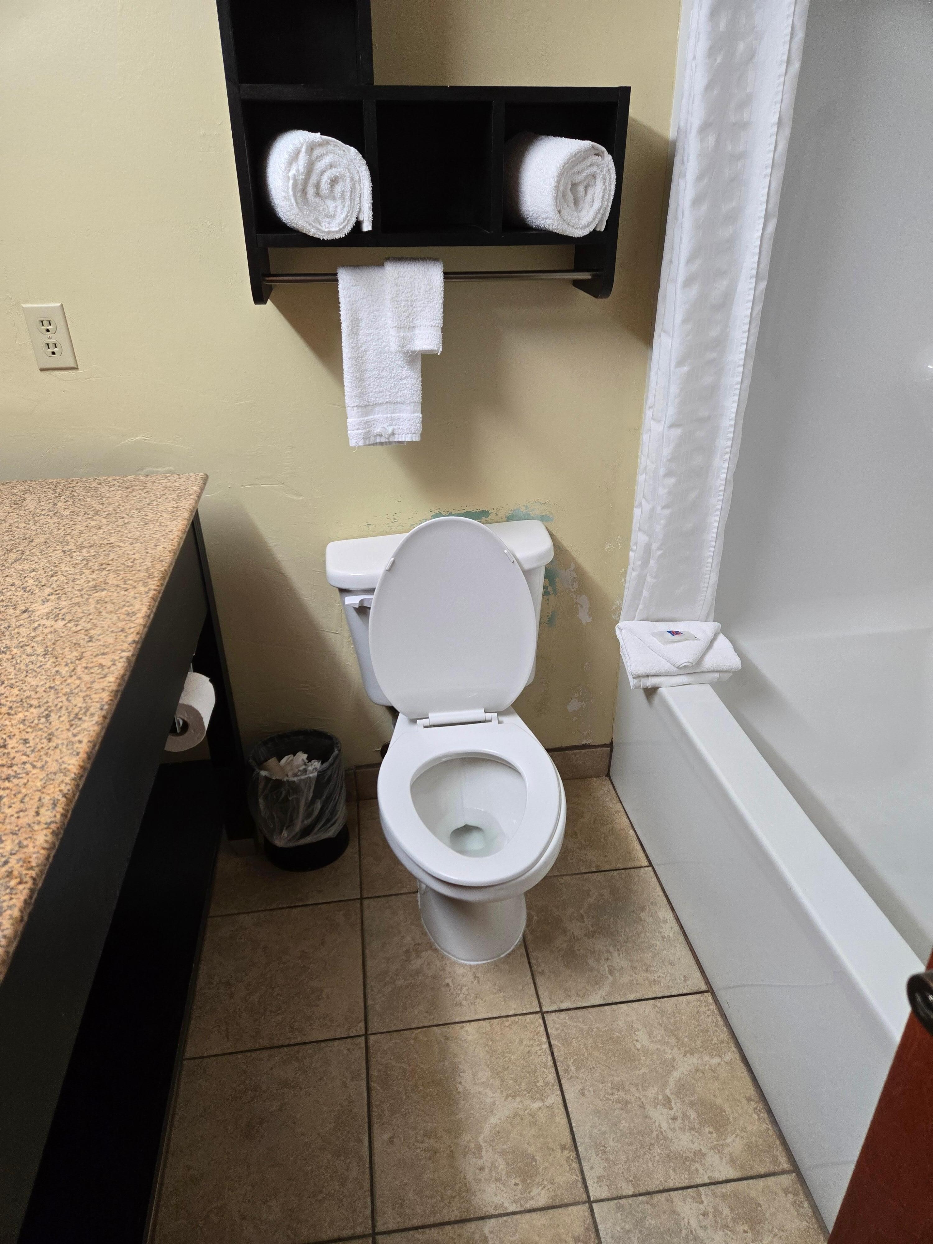 Child's toilet