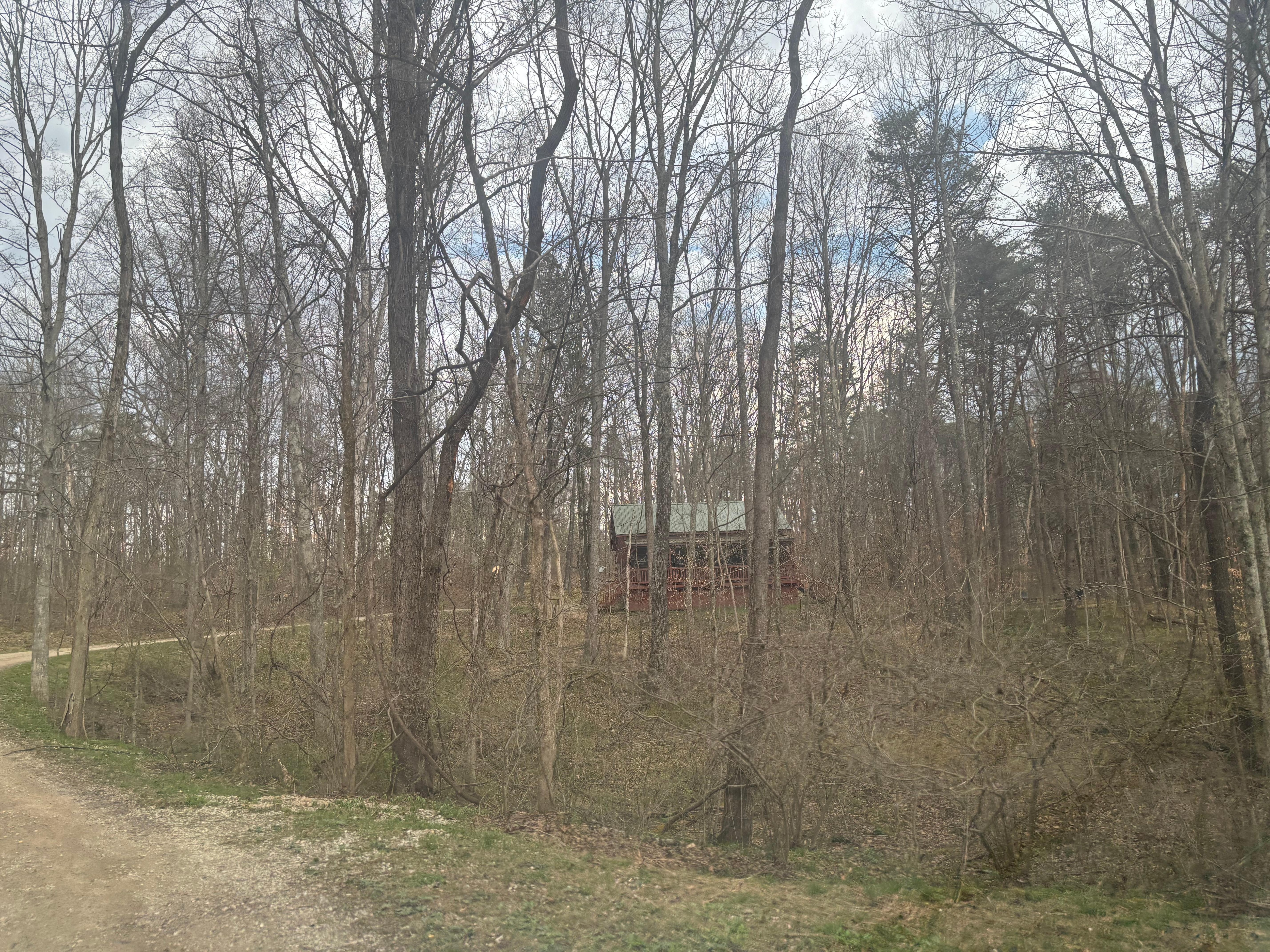 So much excitement as we came up the drive to see our cabin for the first time!