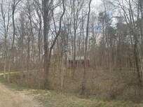 So much excitement as we came up the drive to see our cabin for the first time!