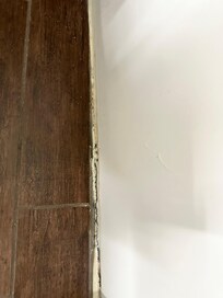 Mold around the bathroom tub