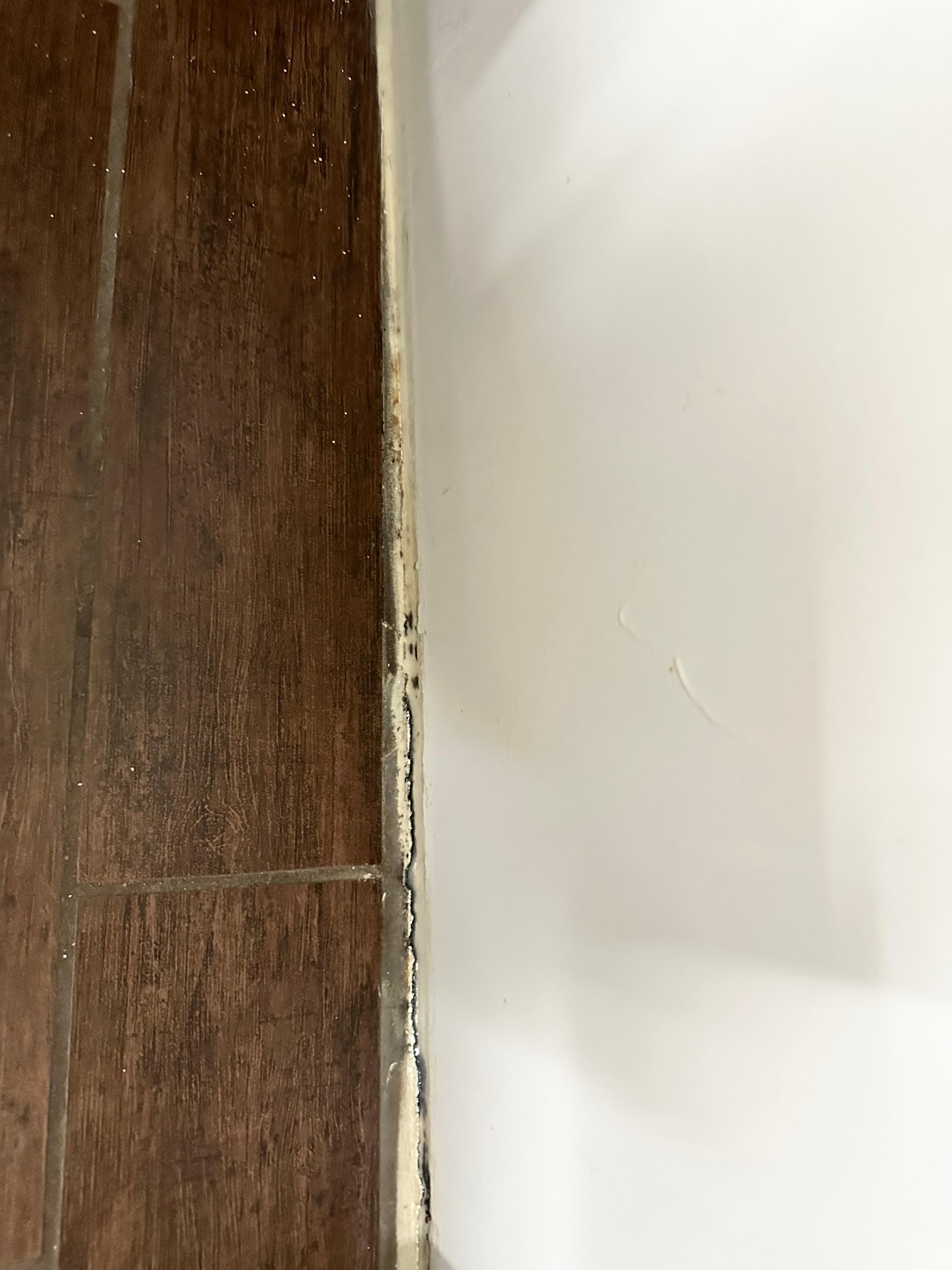 Mold around the bathroom tub