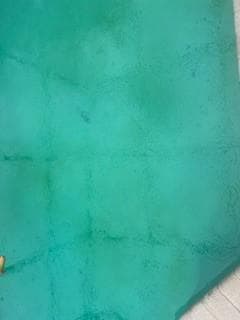 Green Algae forming in the pool