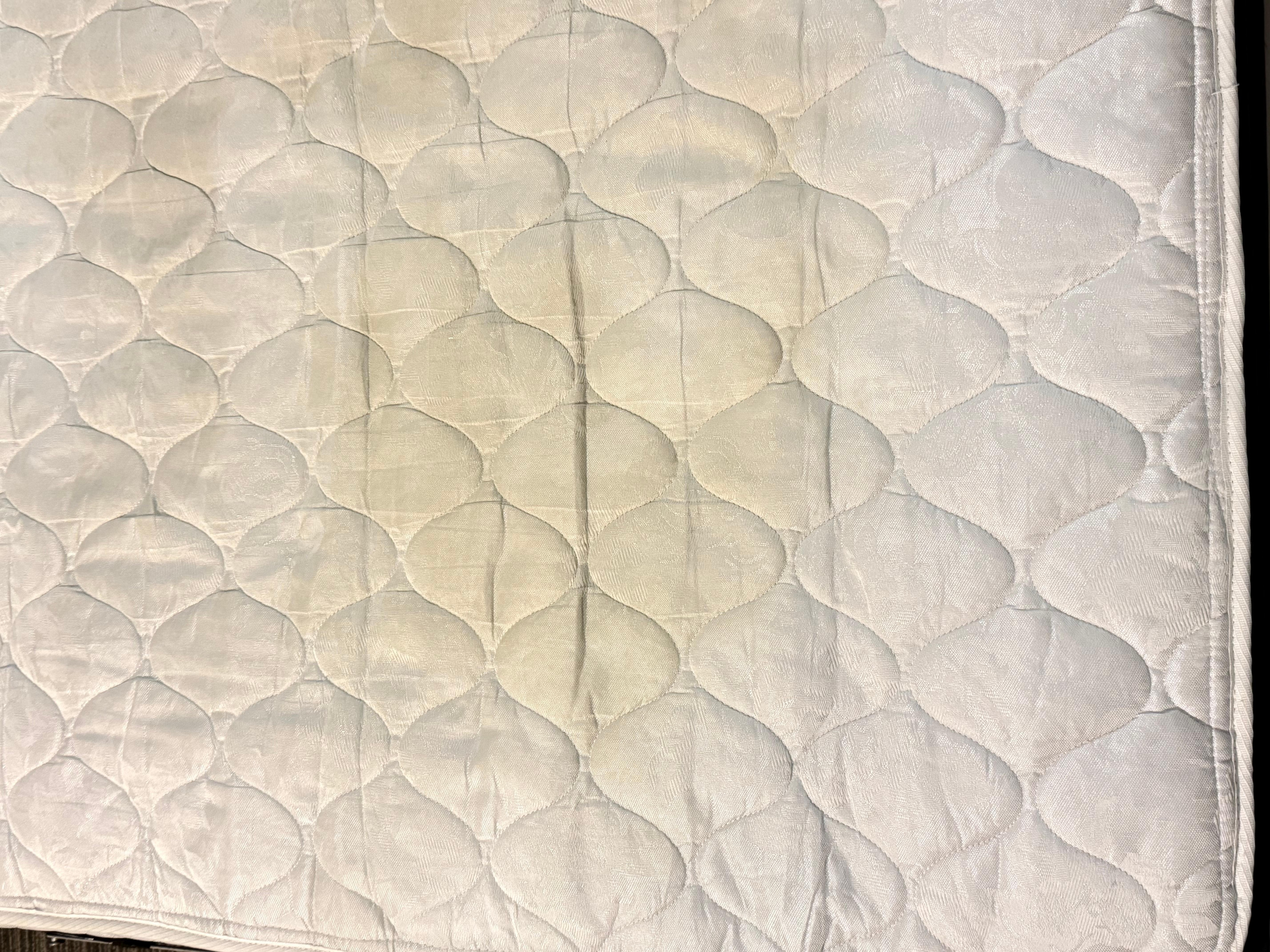 Dirty urine-stained mattress.