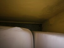 Schimmel neben dem Bett