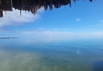 View from private dock