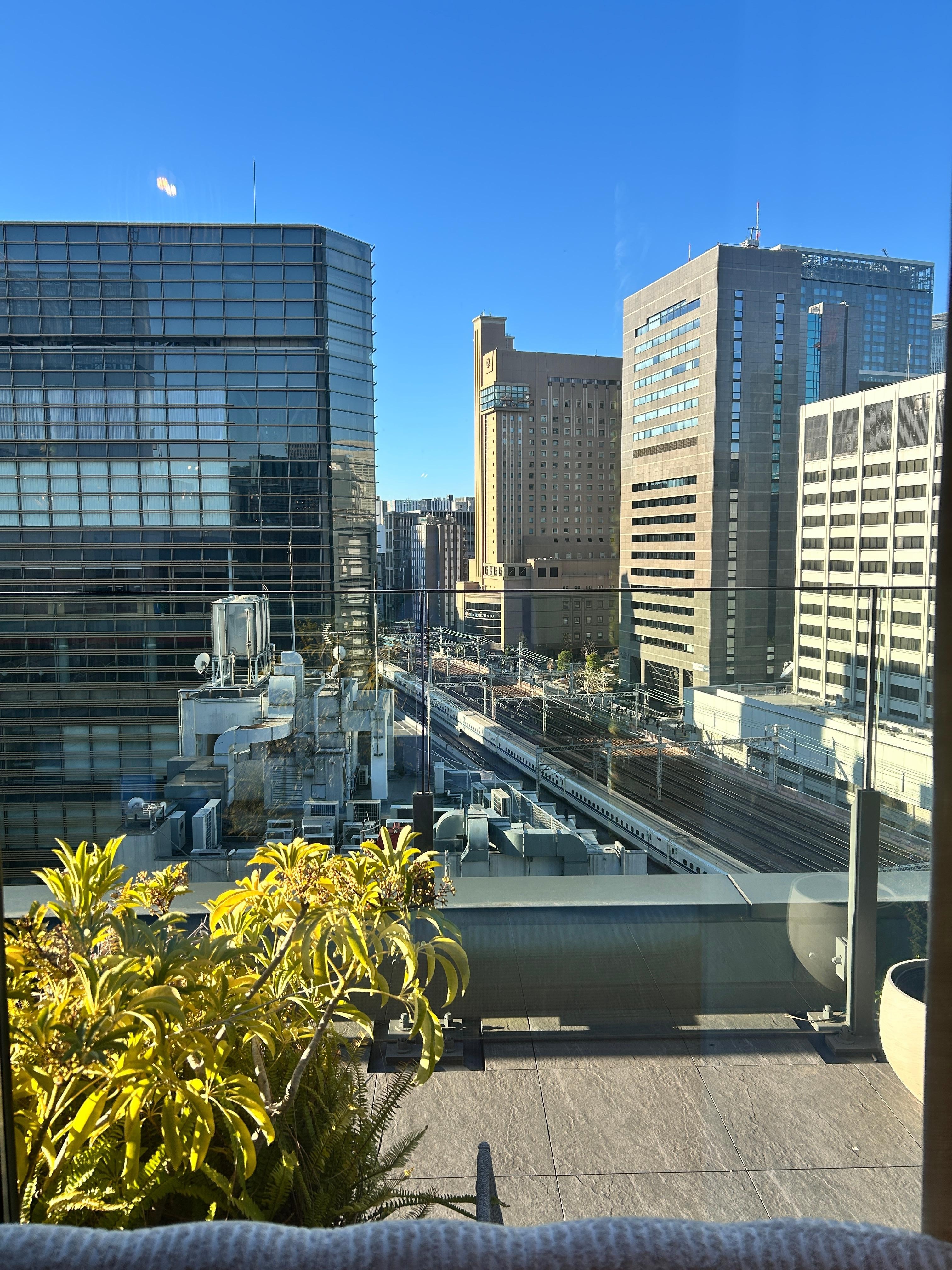 View from rooftop restaurant 