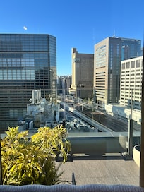 View from rooftop restaurant