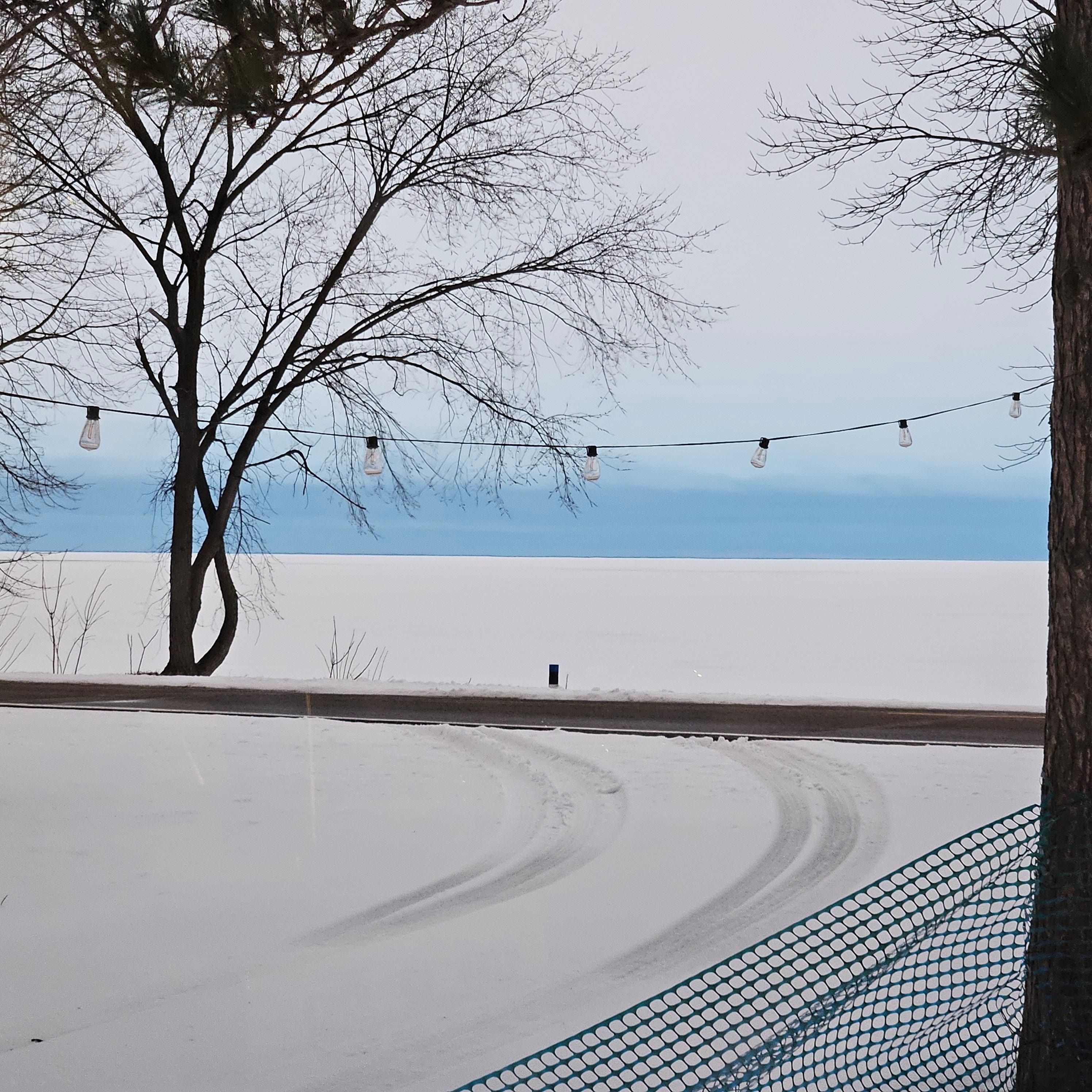 Snowy day looking at the lake. 
