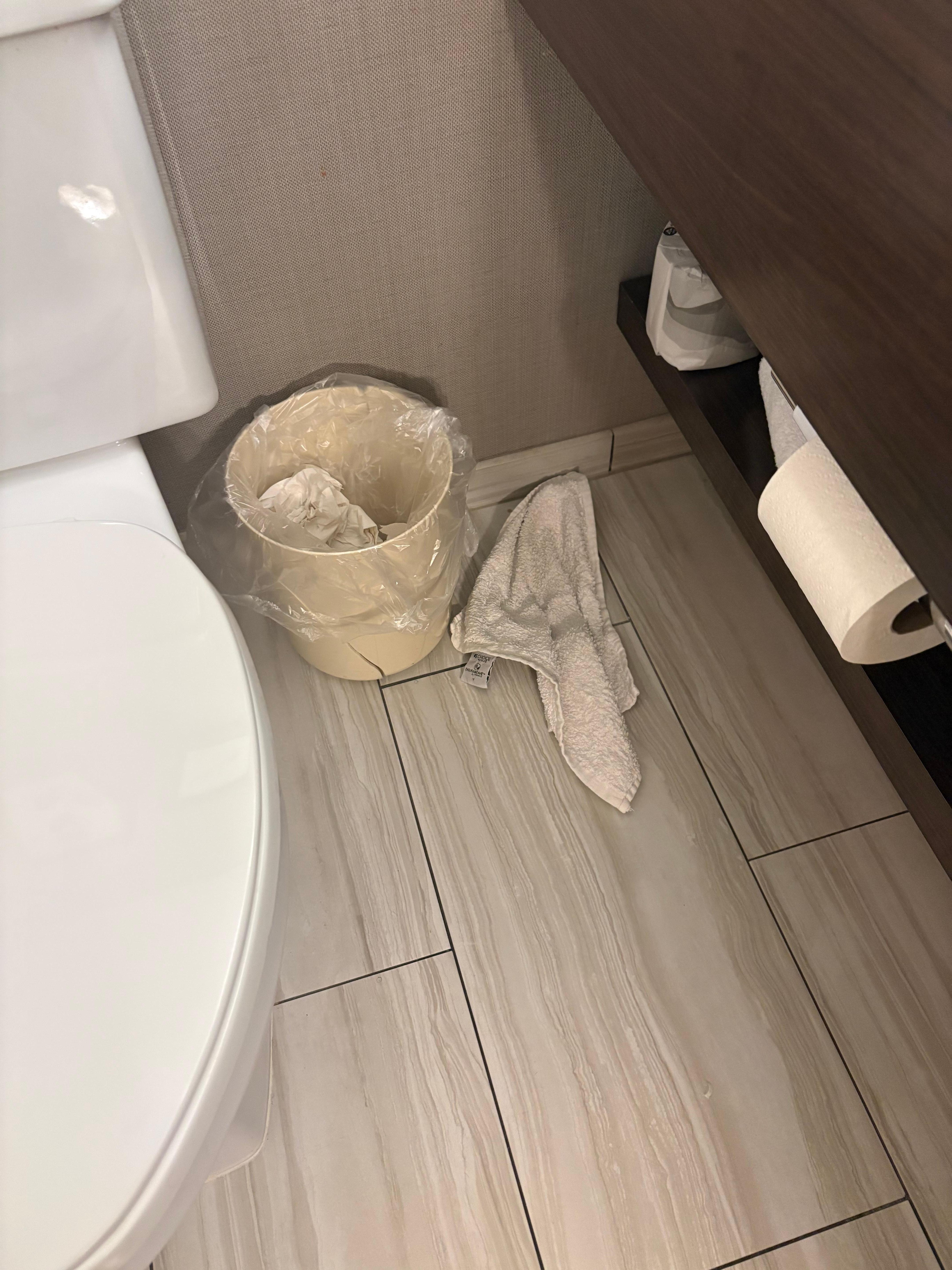 Dirty custy rag in bathroom 