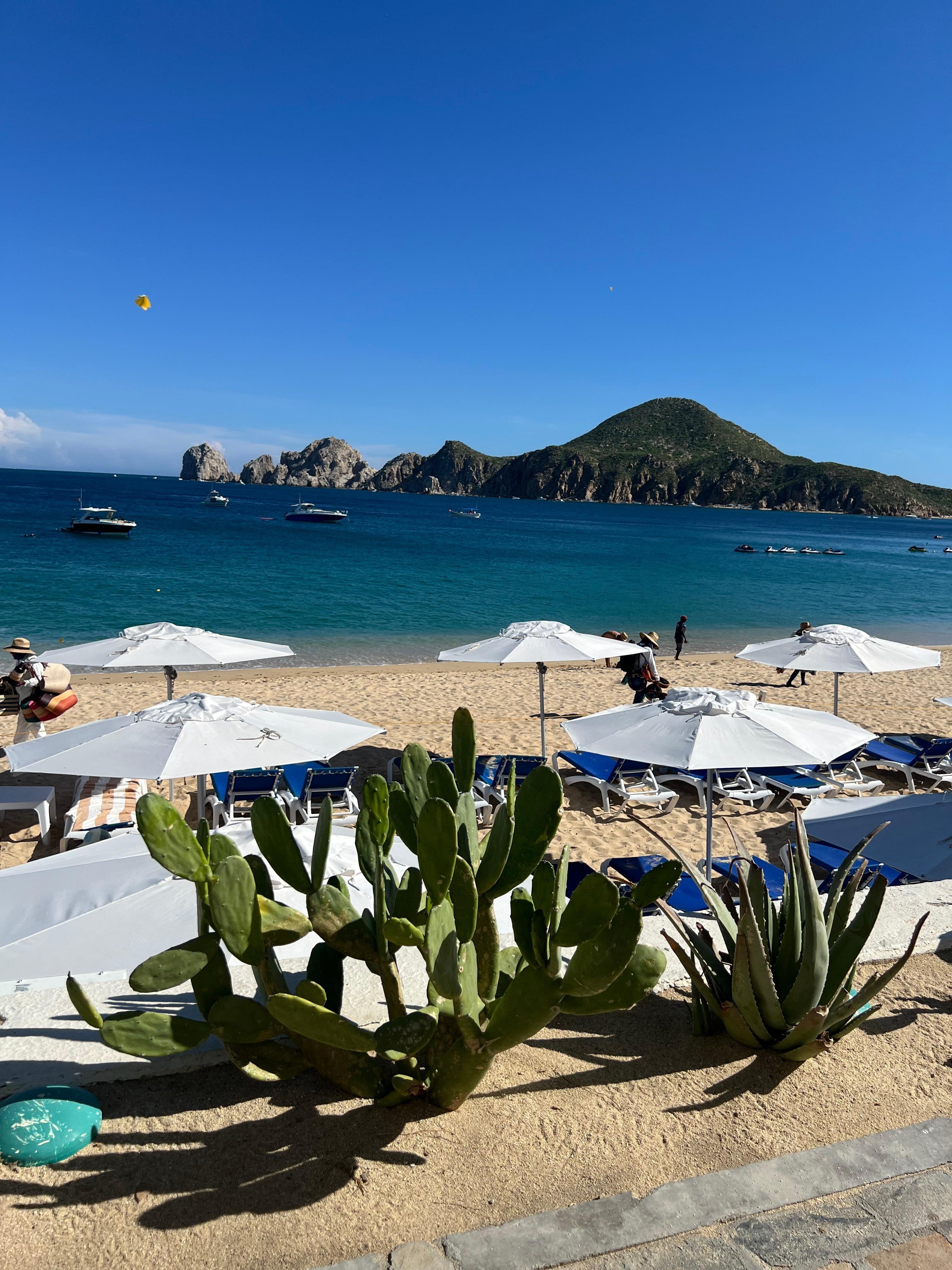 View from the restaurant 