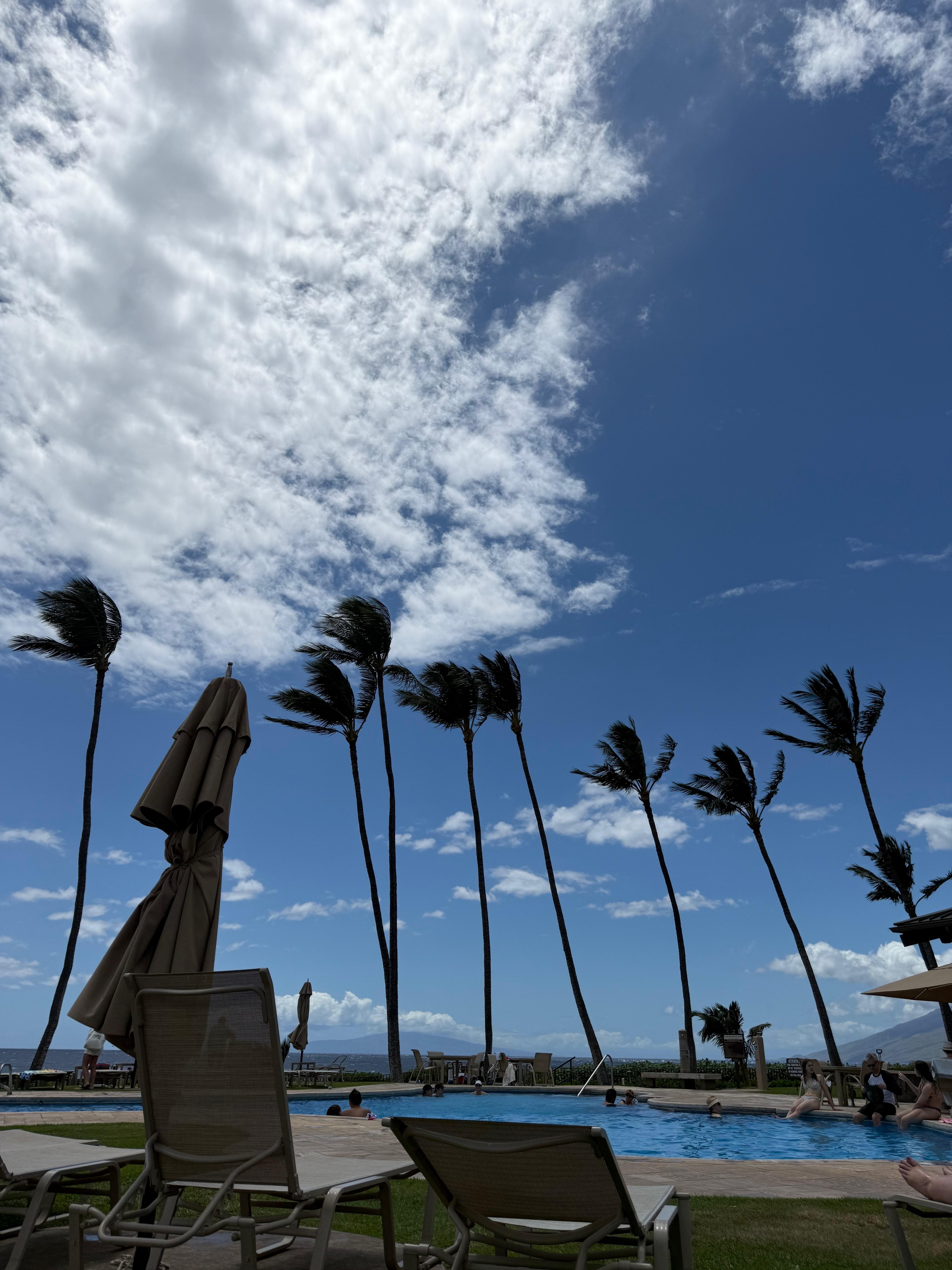 Main ocean front pavilion pool
