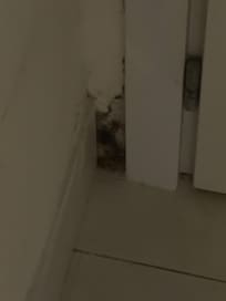 Mold