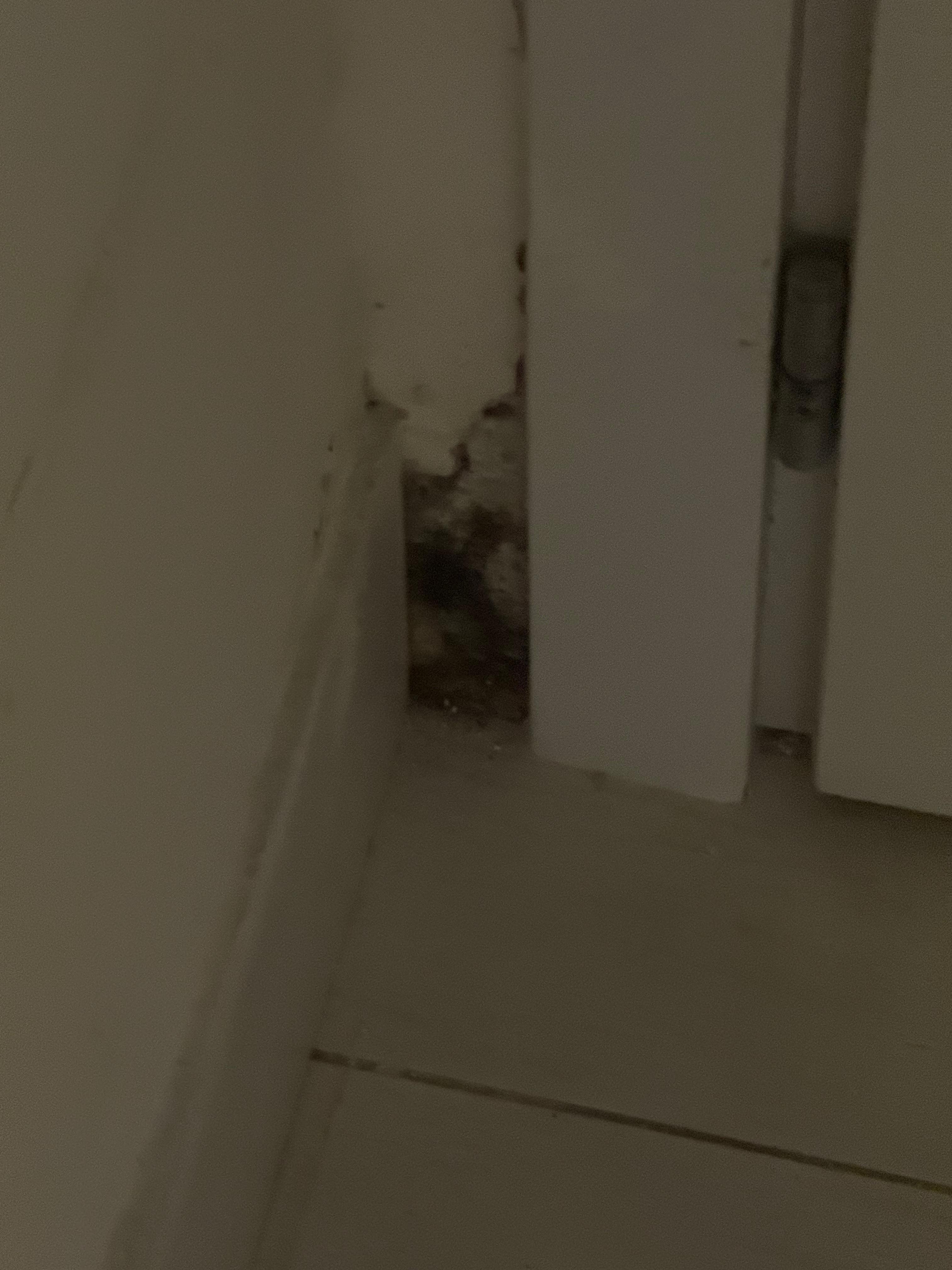 Mold