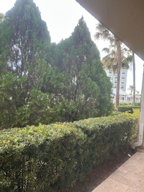 No Pool View only trees