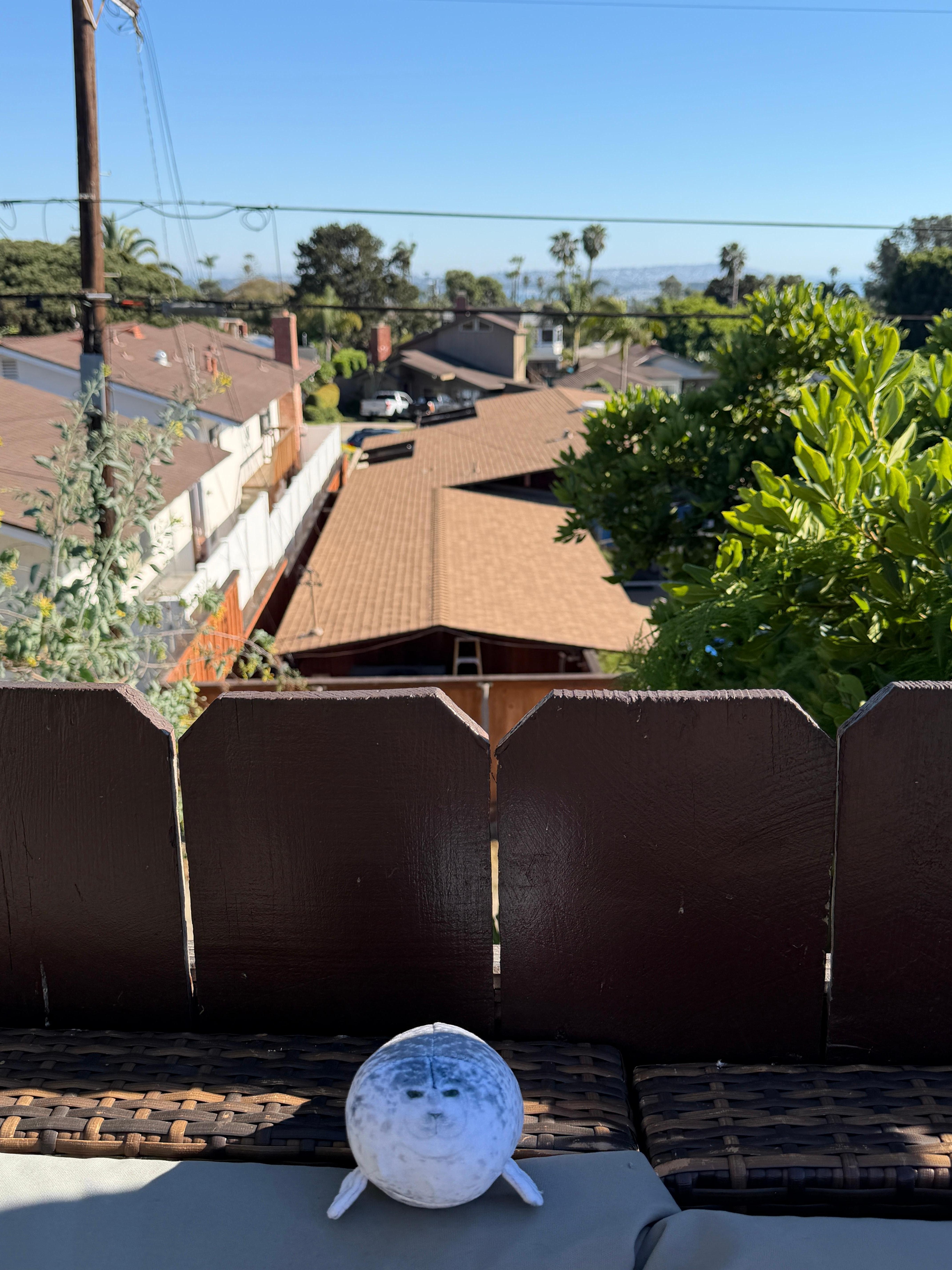 View from back pool deck 