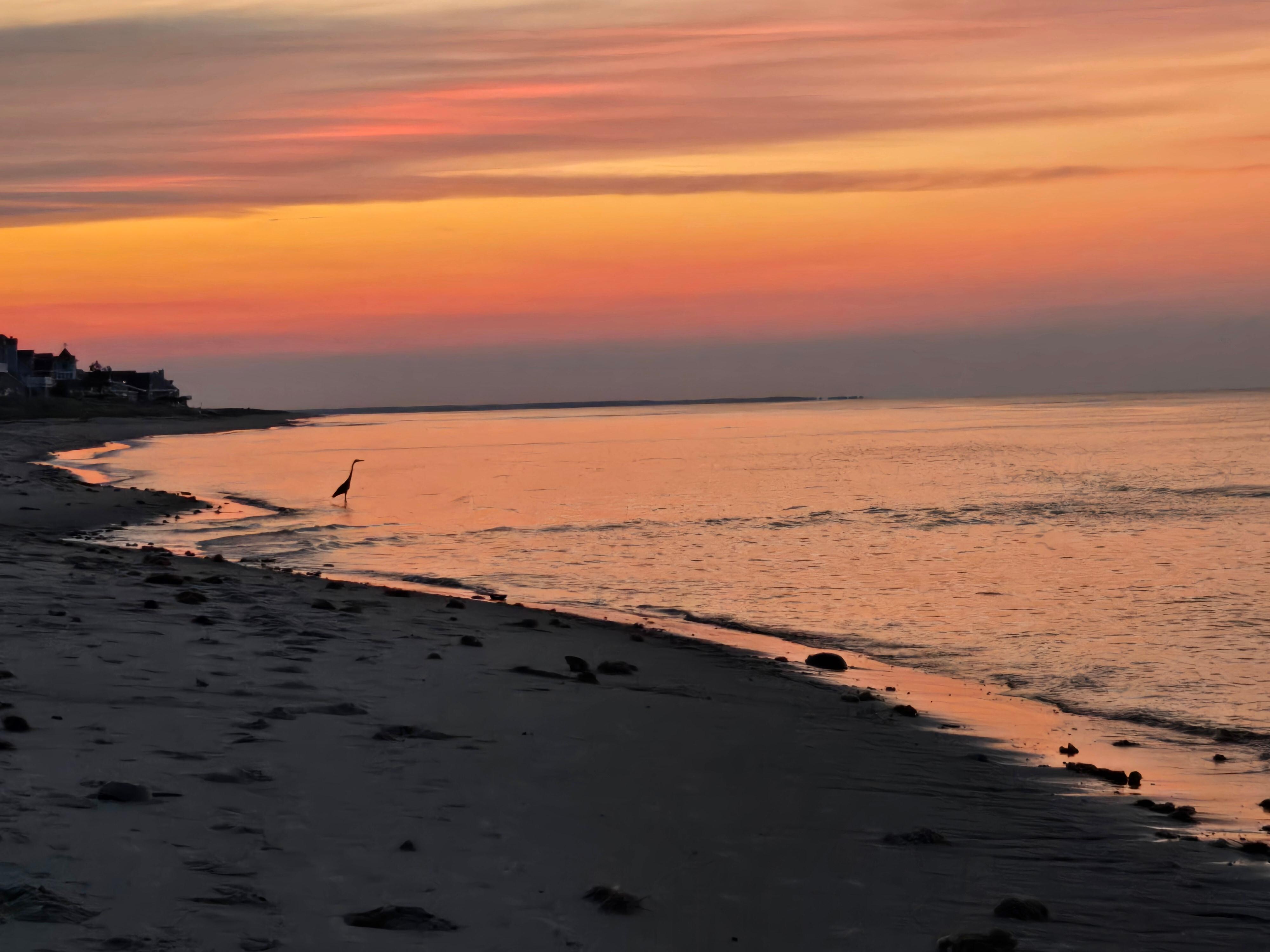 Enjoying the sunset on the beach 