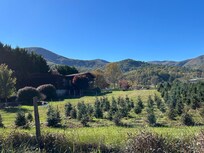 Boyd’s Christmas Tree Farm