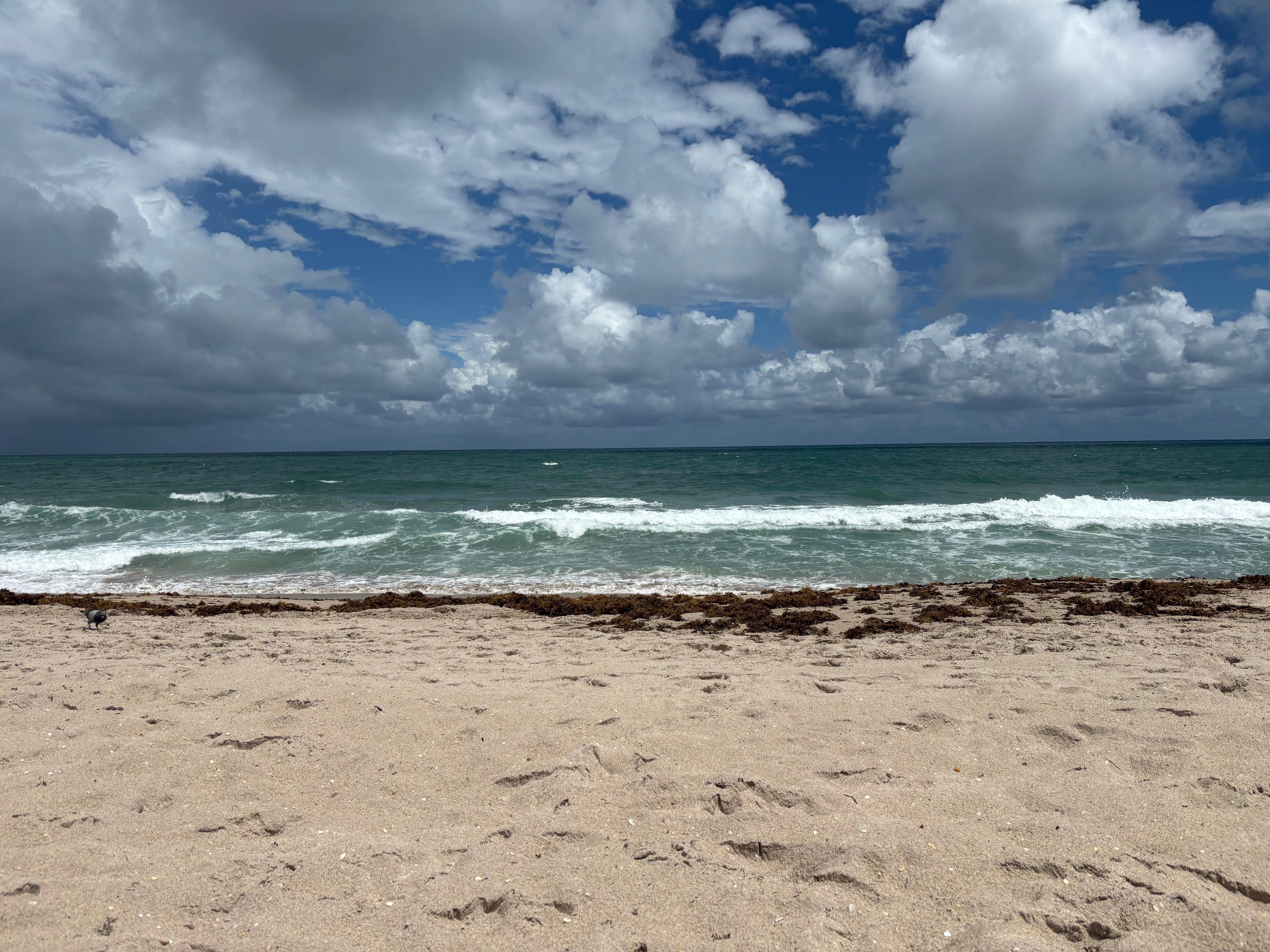 Right across the street was a slice of relaxation.