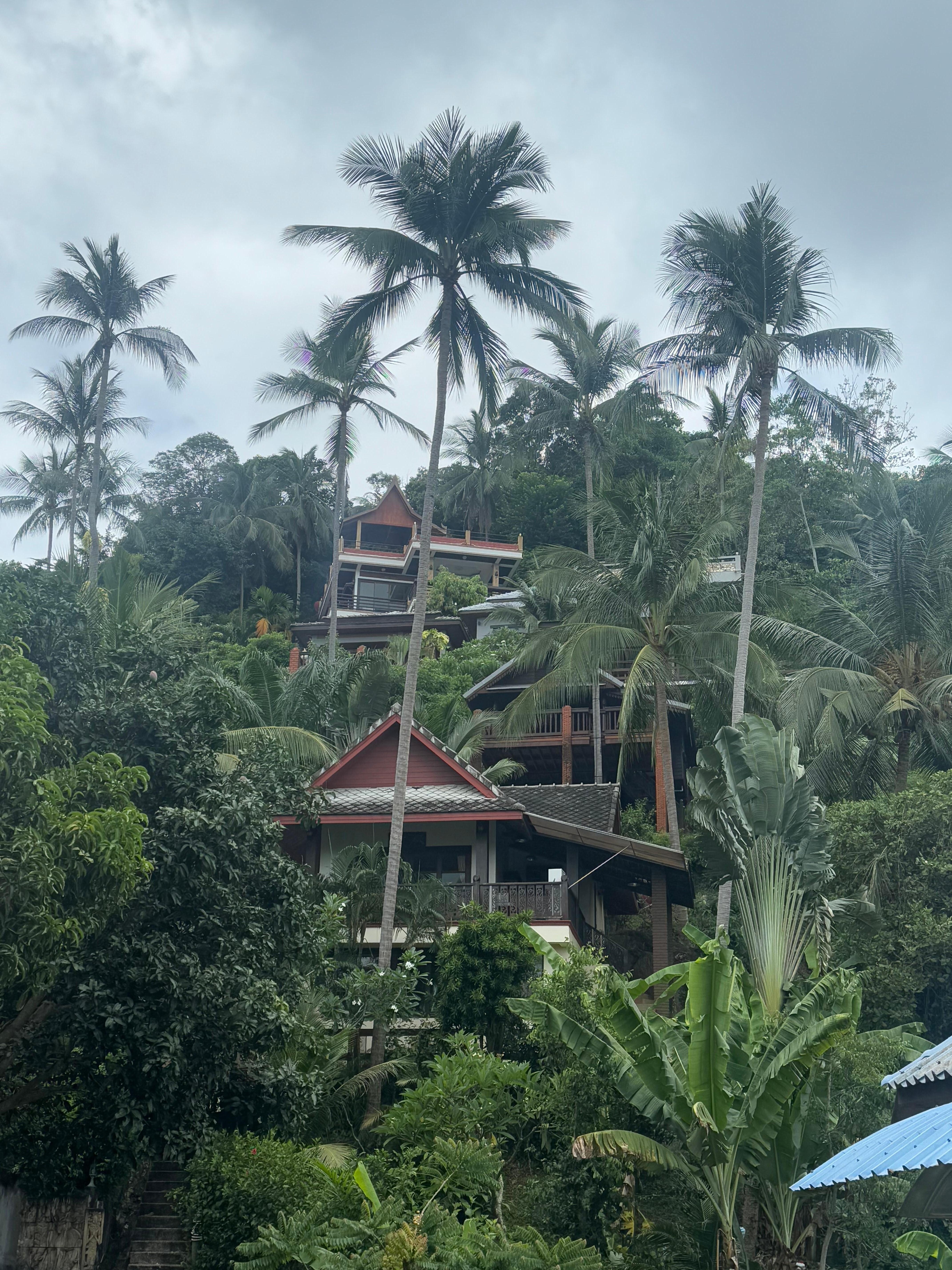 View from our walk uphill to villa