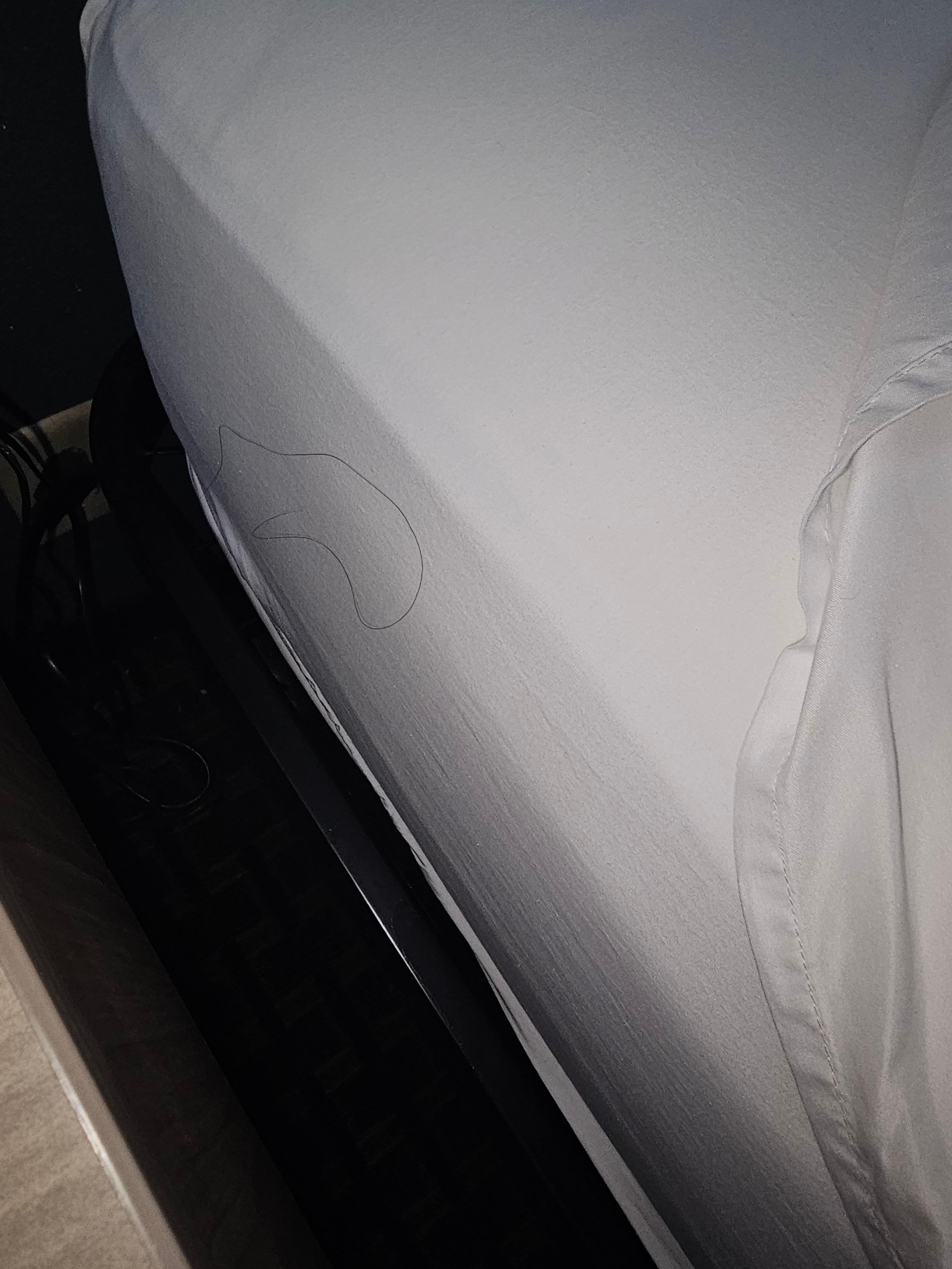 One of many long hairs