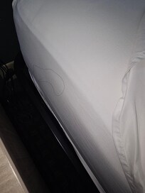 One of many long hairs