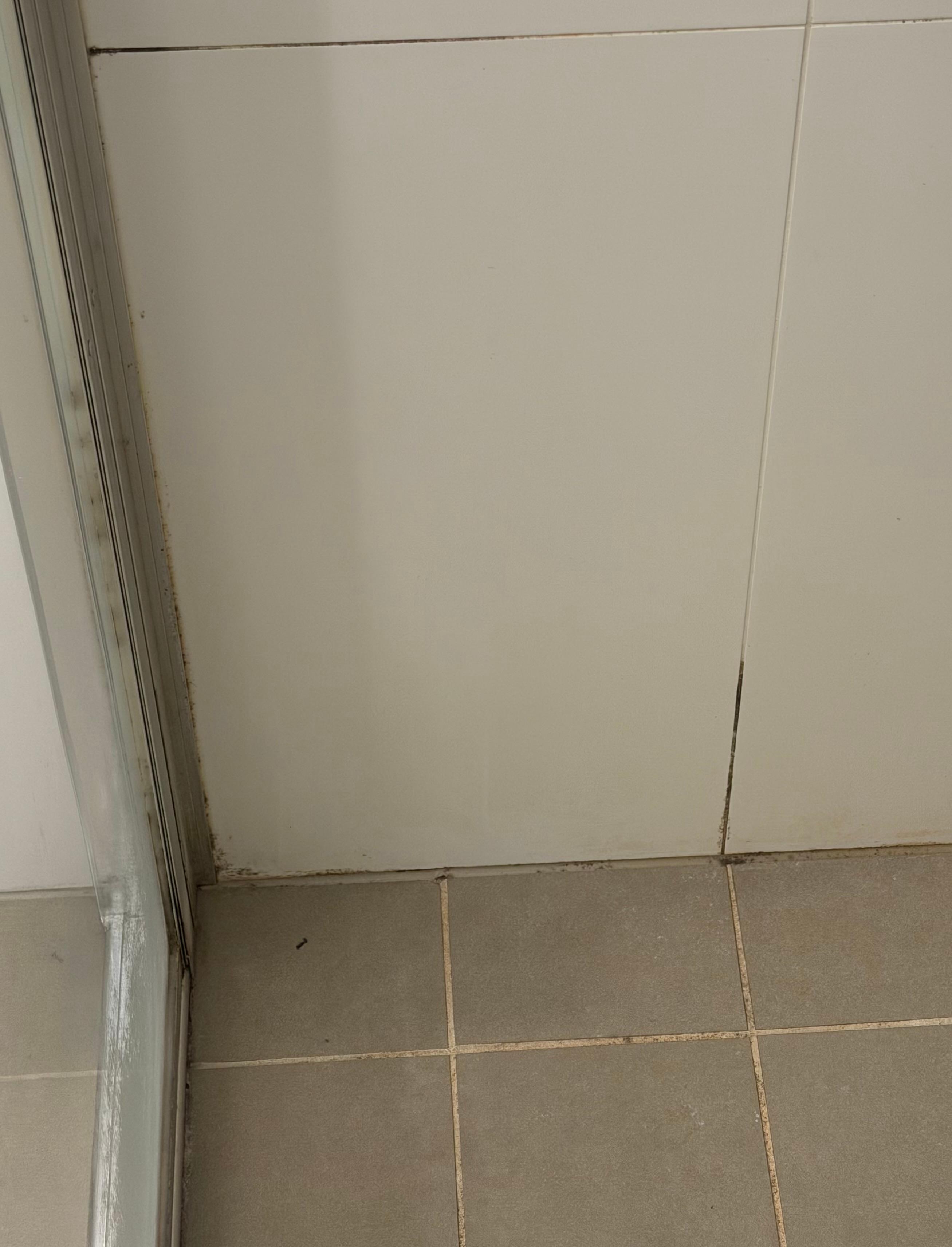 Growth in the shower 