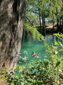 As good as it gets in the Rio Naranjo.