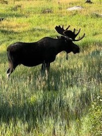 This wasn't taken at the National Park, it was from the back porch of the cabin..!!