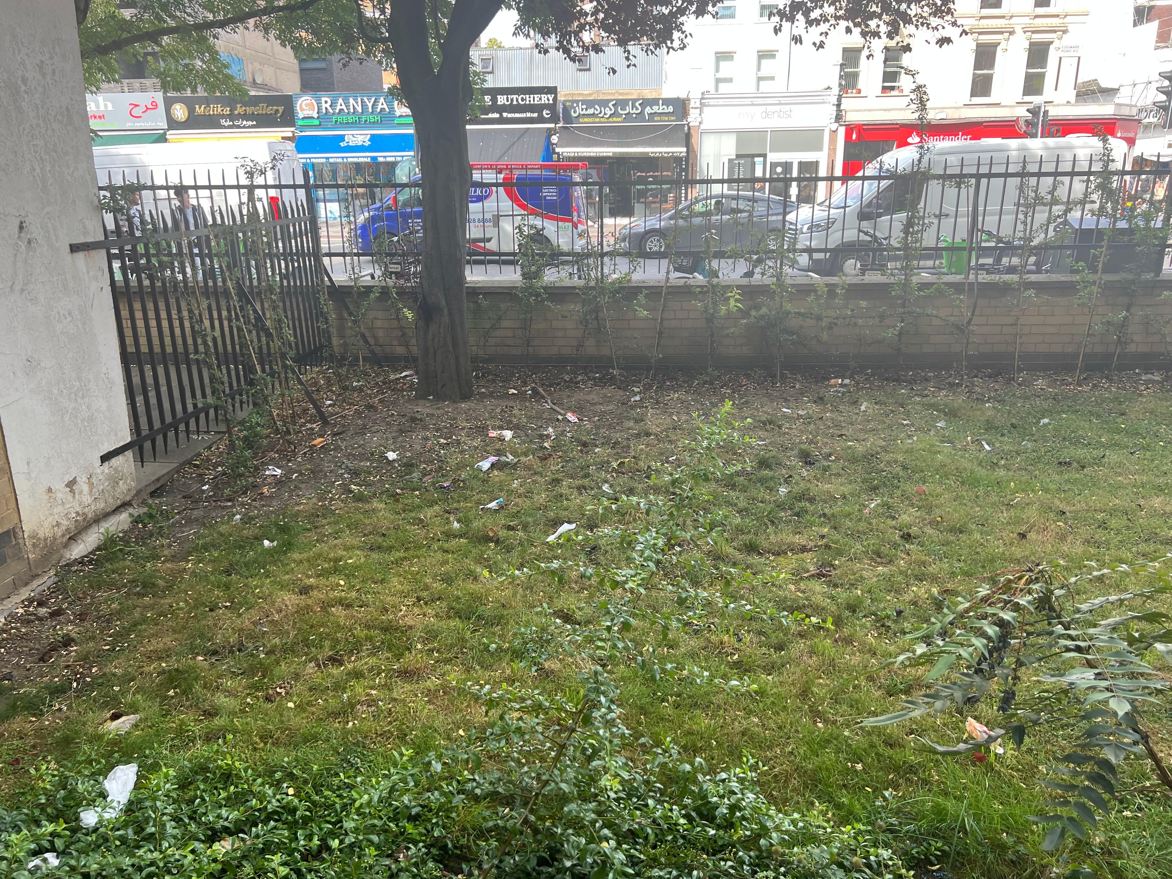 poorly maintained front yard
