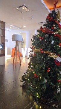 Navidad llegó a Fiesta 🌲