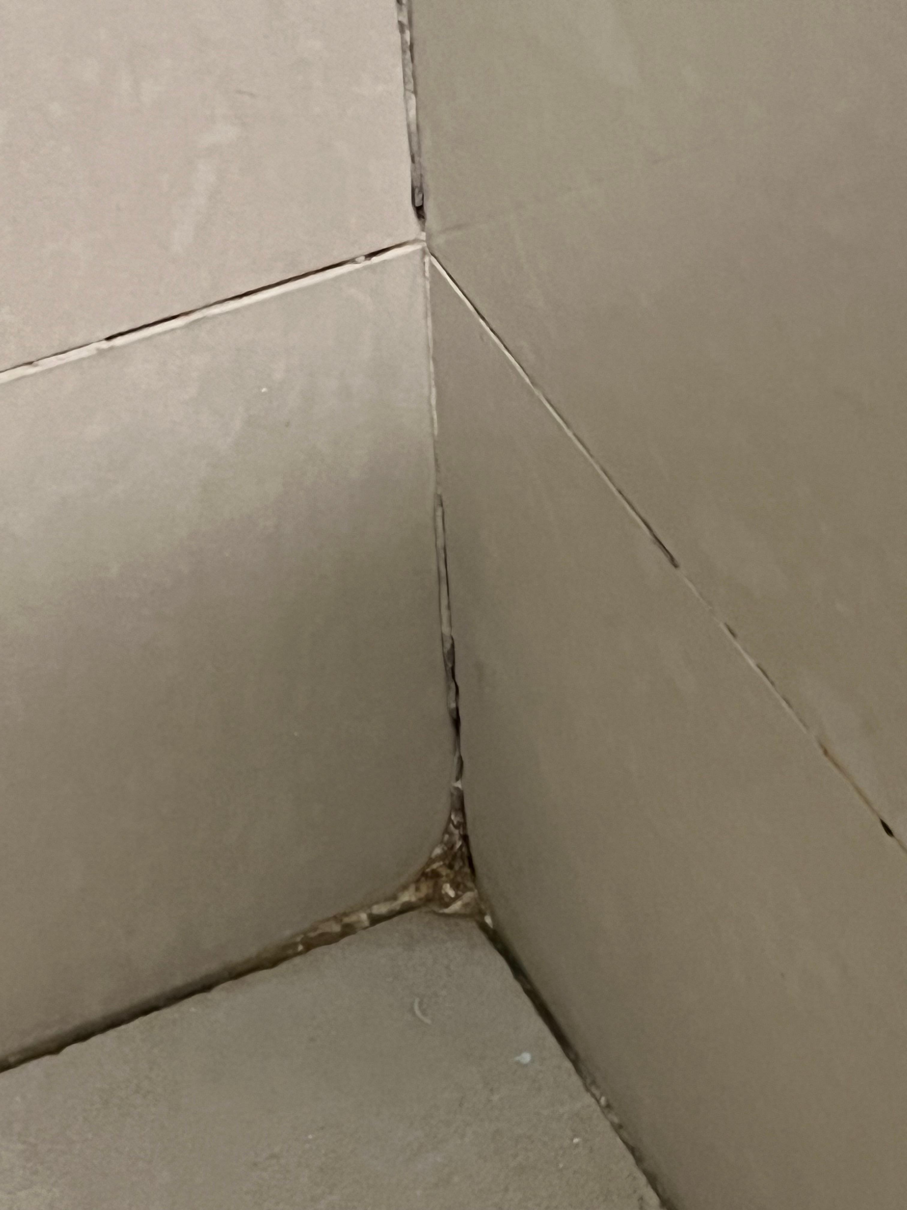 Moldy shower grout