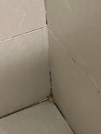 Moldy shower grout