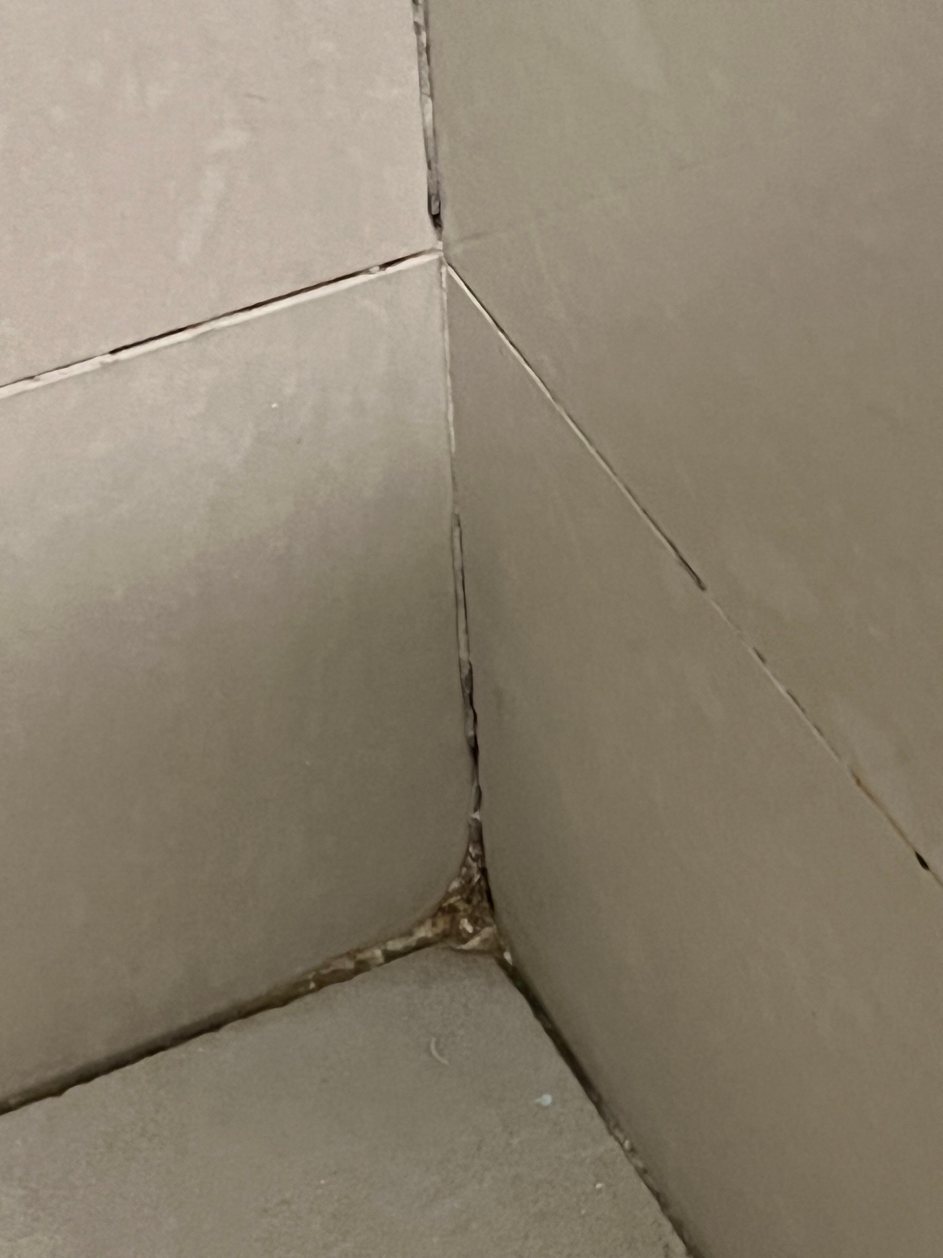 Moldy shower grout