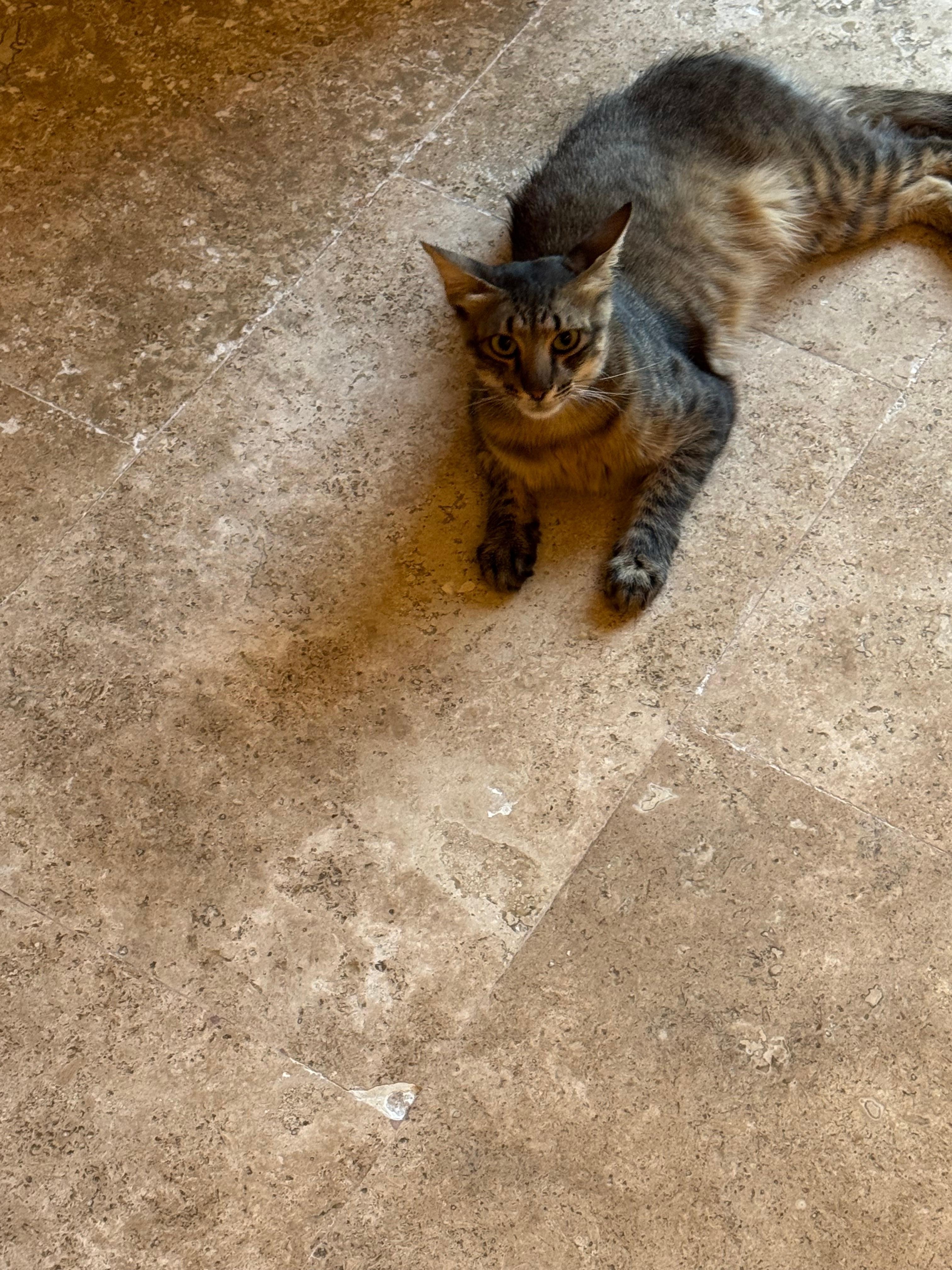 Carla.  She was always greeting you when you walked around