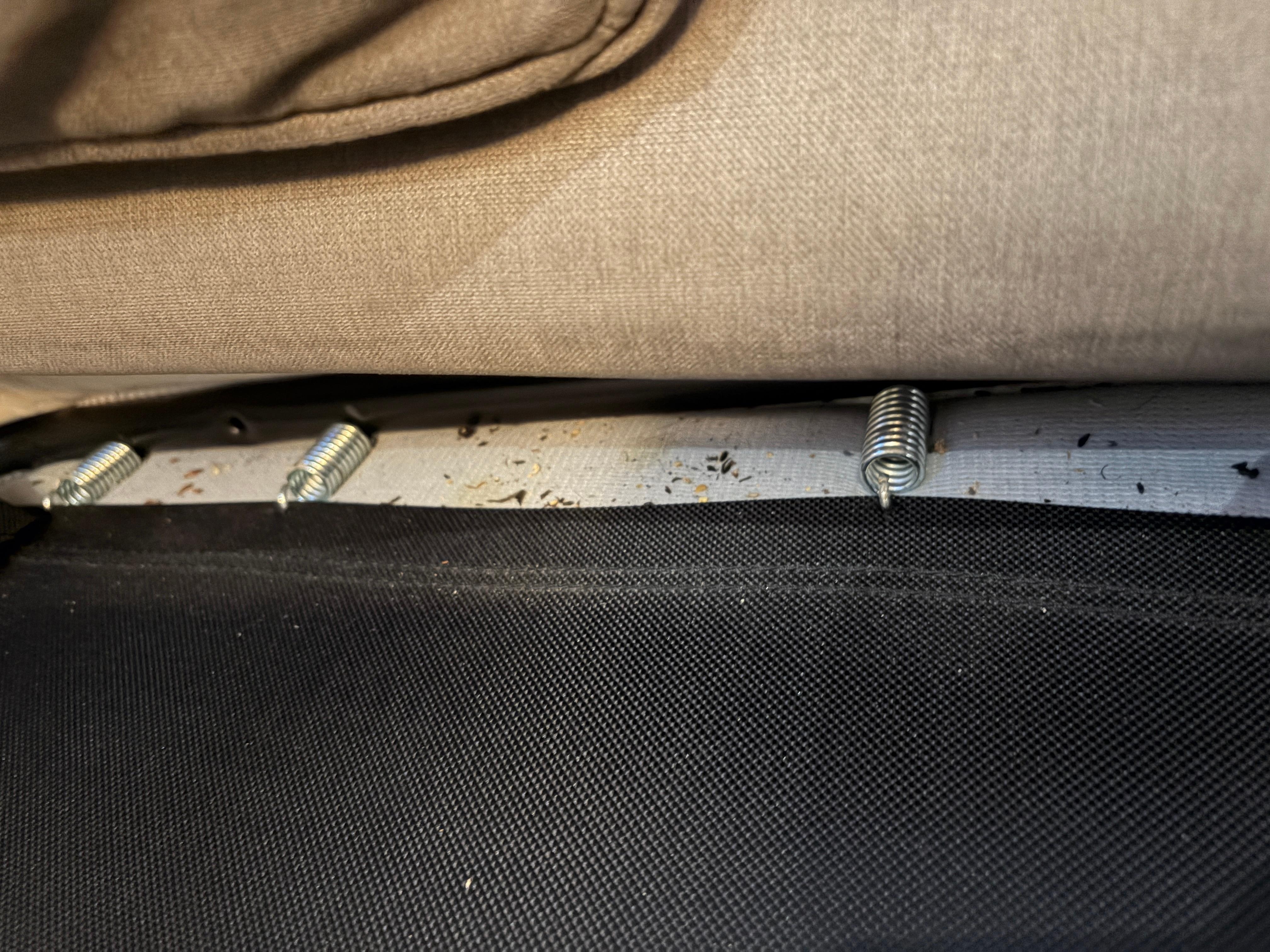 the pull out couch in the living room