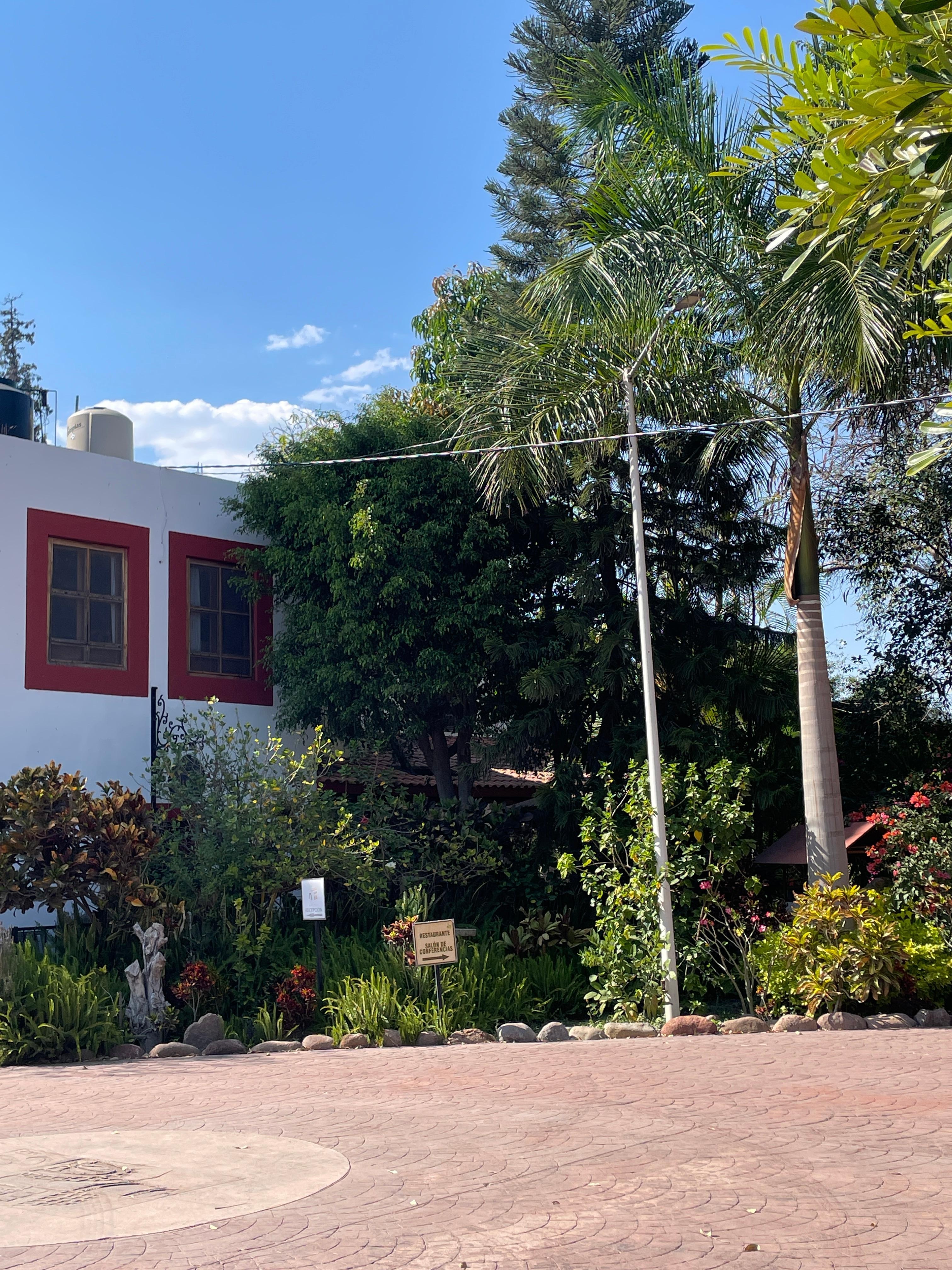 Reception and facilities entrance 