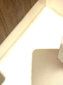 Langes (Frauen)Haar in der Ecke