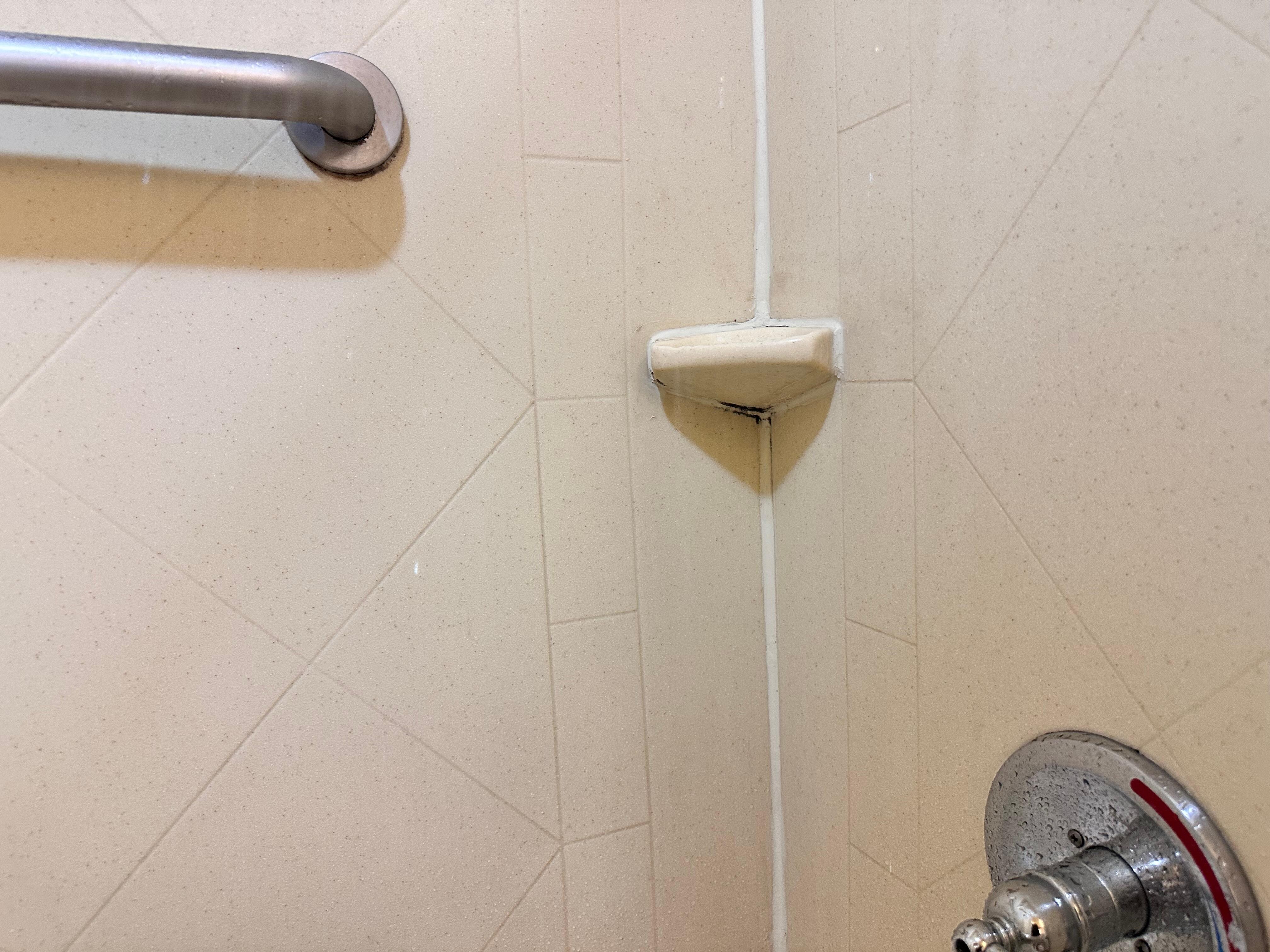 Shower need proper cleaning 