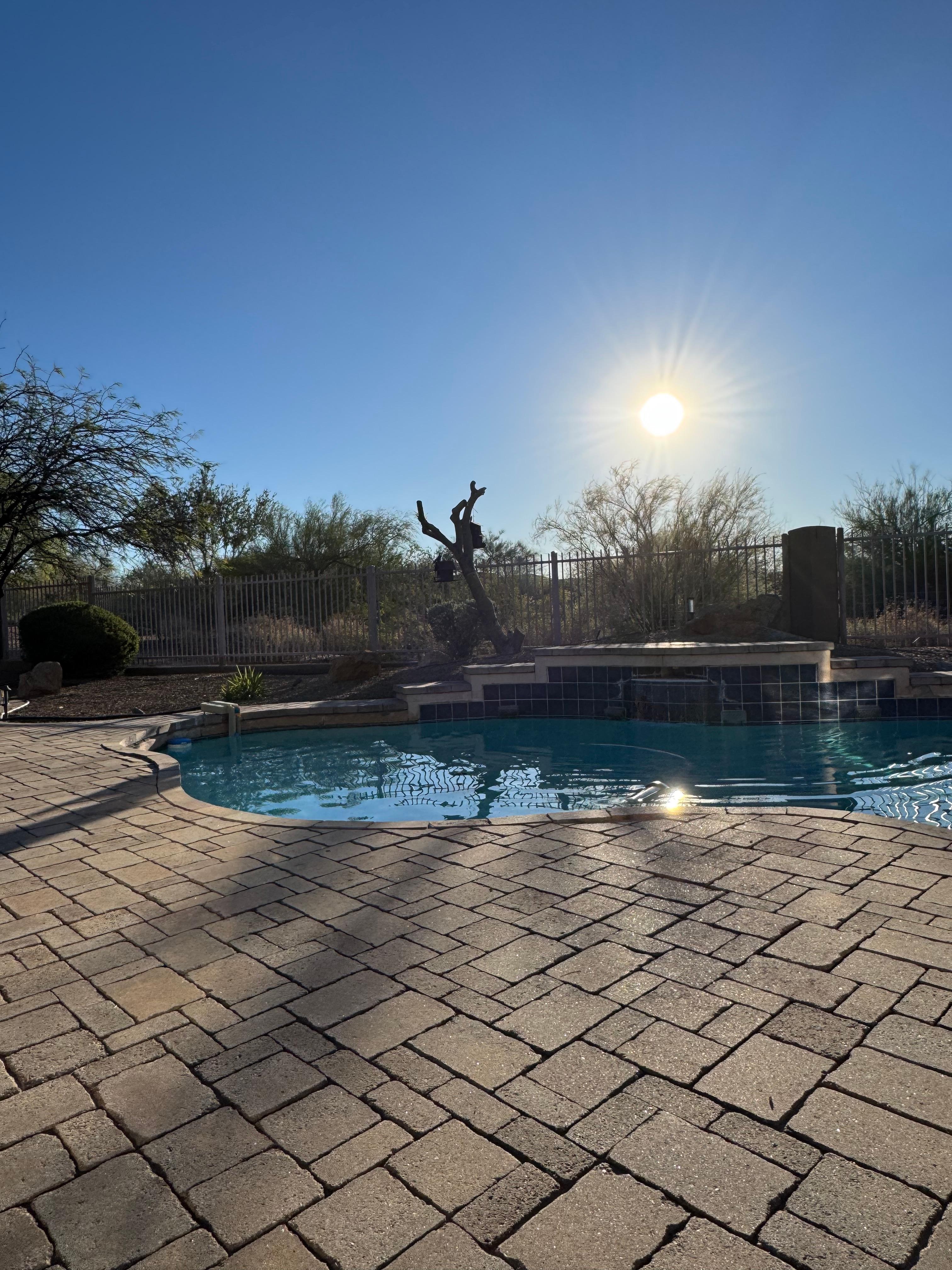 Sunrise in the backyard. 