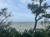 Photo from Elizabeathen gardens
