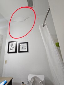 Bubble that apparently formed while we were out that evening.