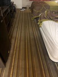 Les tapis sont infectés