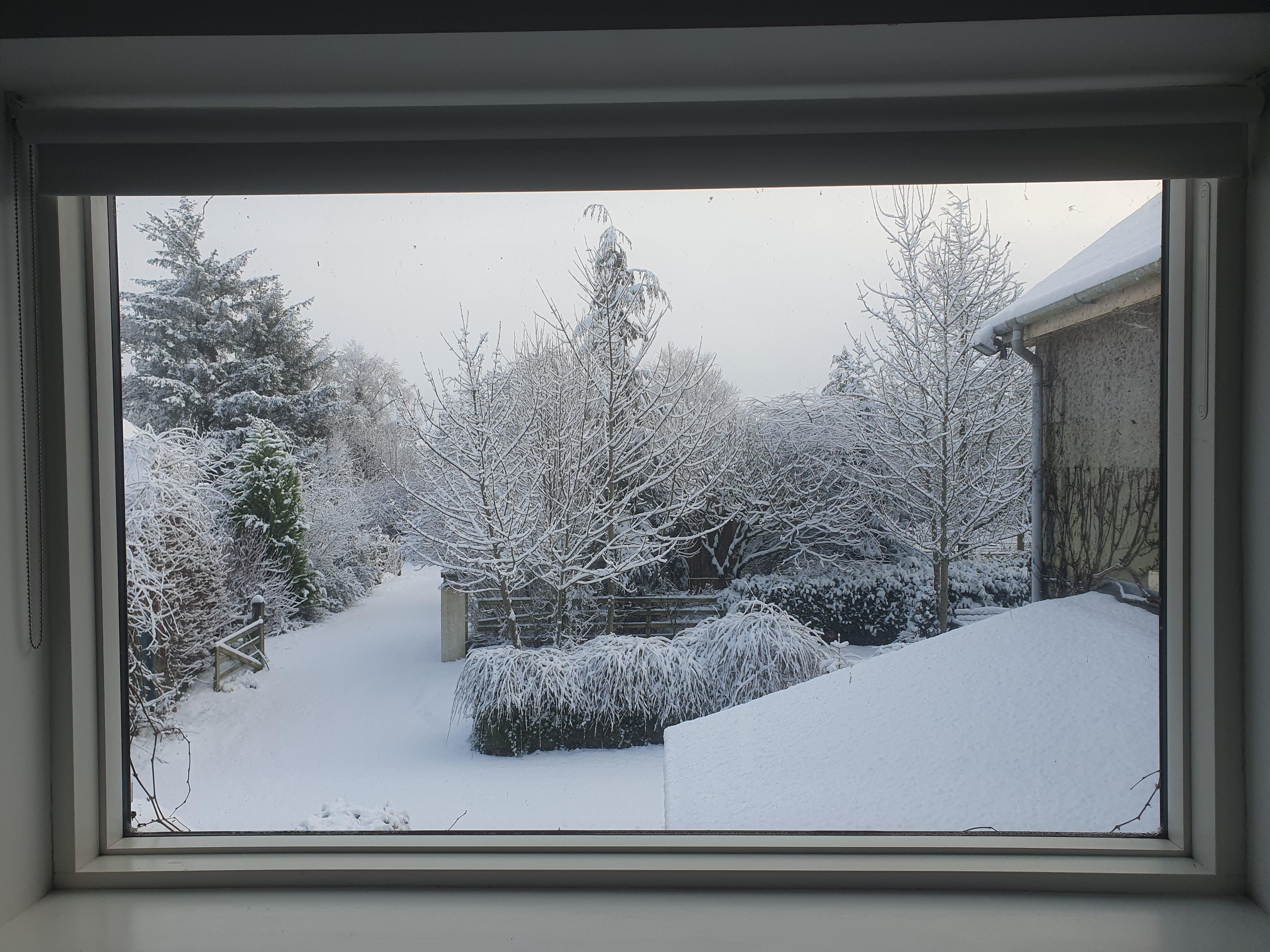 View from upstairs bedroom